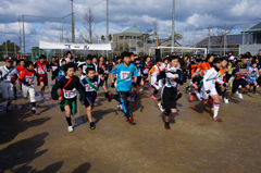 2014N (26N) L^ (Activity Record)