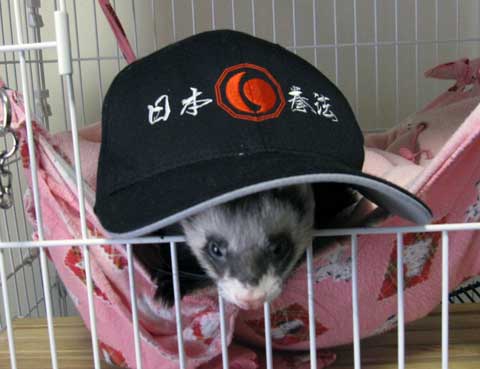 ファイル 105-1.jpg