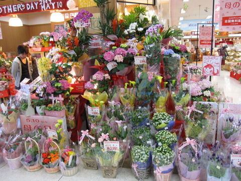 ファイル 149-1.jpg