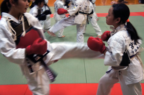 ファイル 1563-1.jpg