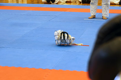 ファイル 1691-3.jpg