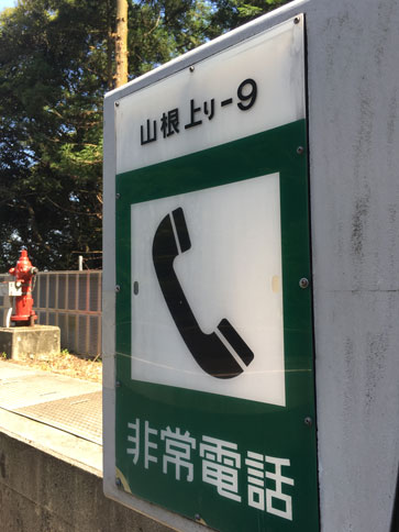 ファイル 1831-1.jpg