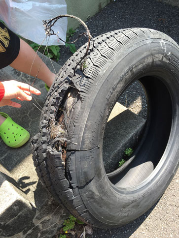 ファイル 1831-5.jpg