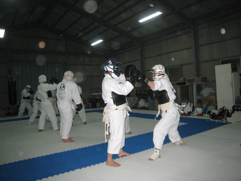 ファイル 22-1.gif