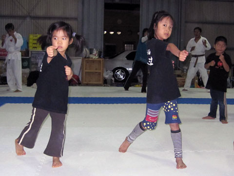 ファイル 229-1.jpg