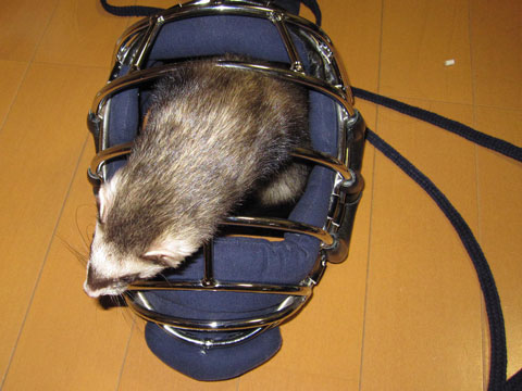 ファイル 275-3.jpg