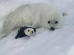 ファイル 334-5.jpg