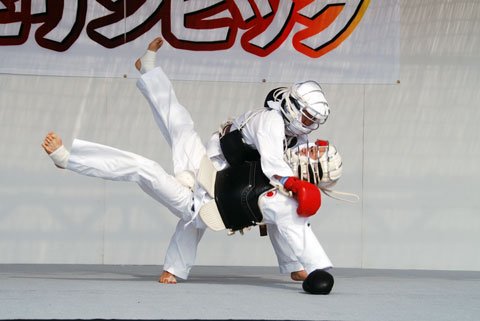 ファイル 356-2.jpg