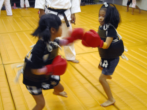 ファイル 370-5.gif