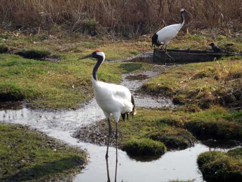 ファイル 411-4.jpg