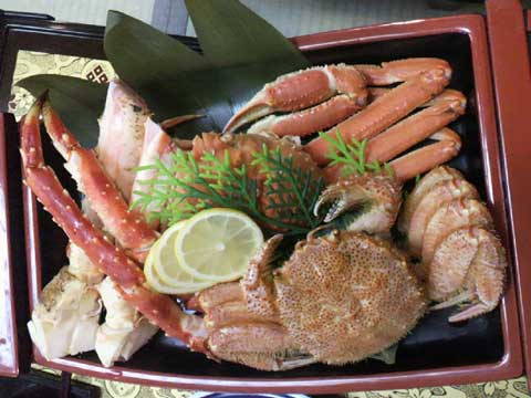 ファイル 411-5.jpg