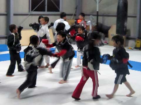 ファイル 484-1.jpg