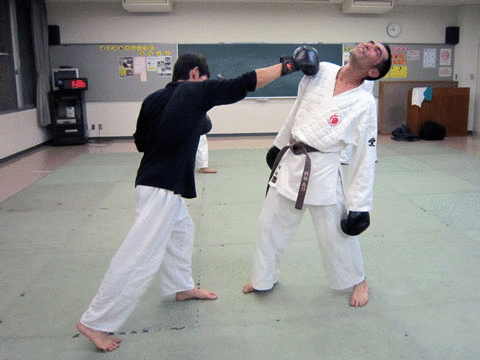 ファイル 554-5.gif