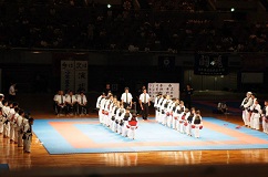 全・日本拳法総合選手権大会 All Japan Championship