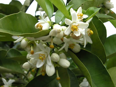 ファイル 25-1.jpg