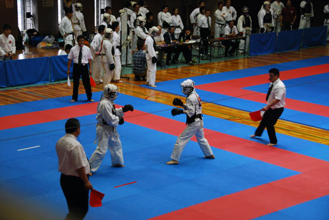 ファイル 49-3.jpg