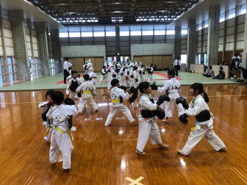 第29回日本拳法徳島総合選手権大会