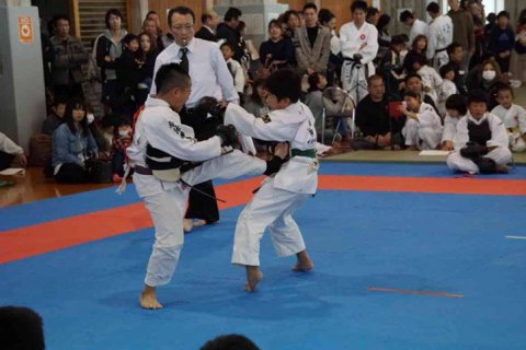 第28回日本拳法徳島総合選手権大会 ご案内