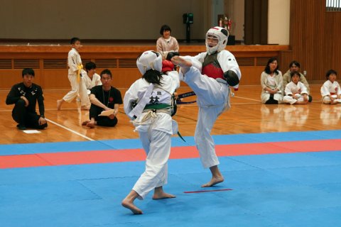 第12回日本拳法四国総合選手権大会