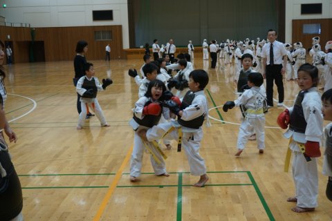 2019日本拳法四国大会