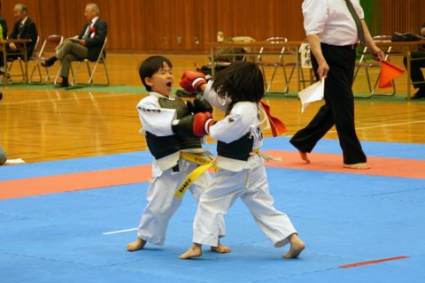 2019日本拳法四国大会