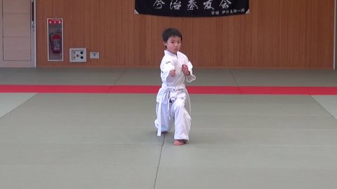 初伸之形 (SHOSHIN)  by 愛媛県連盟審査 (2020/02/02)