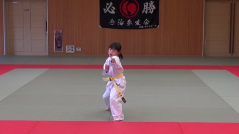 山桜之形 (SANOU) by 愛媛県連盟審査 (2020/02/02)