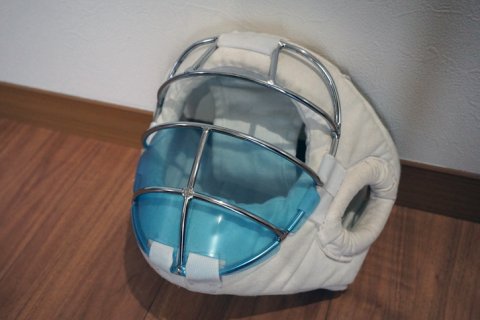 日本拳法面用マスク ！ マウスガード（少年用）実戦配備