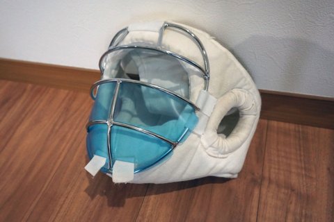 日本拳法面用マスク ！ マウスガード（少年用）実戦配備