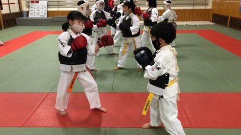 コロナに負けるな！beatcovid19　サタディナイト・ニッポンケンポウ！