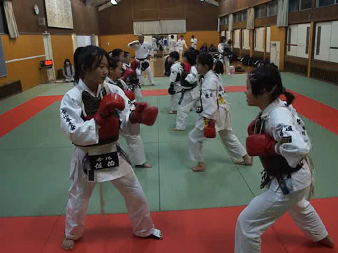 サタディナイト・ニッポンケンポウ・ワンツー連撃ゲーム