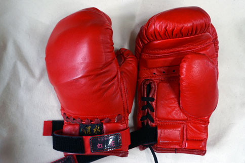 2015徳大式グローブ