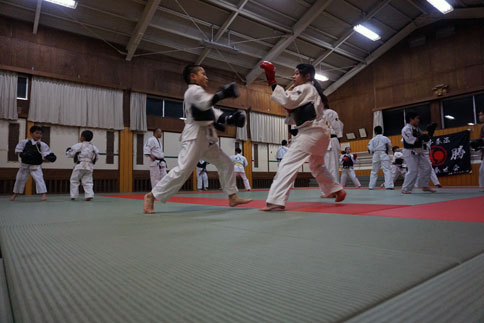 ファイル 1778-1.jpg