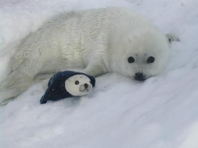 ファイル 185-1.jpg