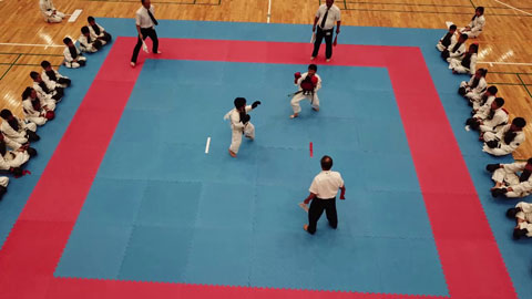 ファイル 2049-3.jpg