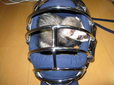 ファイル 275-2.jpg