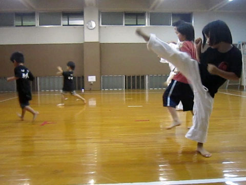 日本拳法尽くし