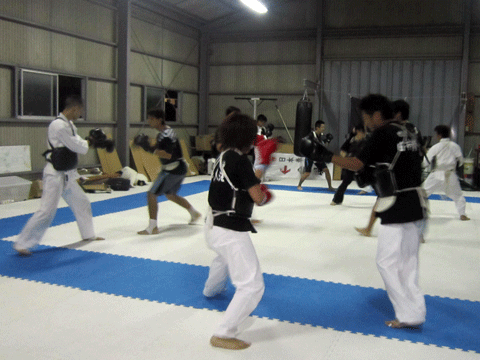 ファイル 367-5.gif