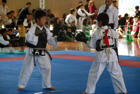 ファイル 393-3.jpg