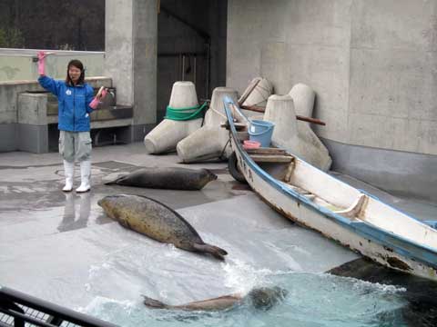 ファイル 411-2.jpg