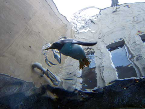 ファイル 411-3.jpg