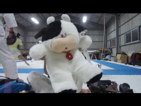 牛さん by 日本拳法今治