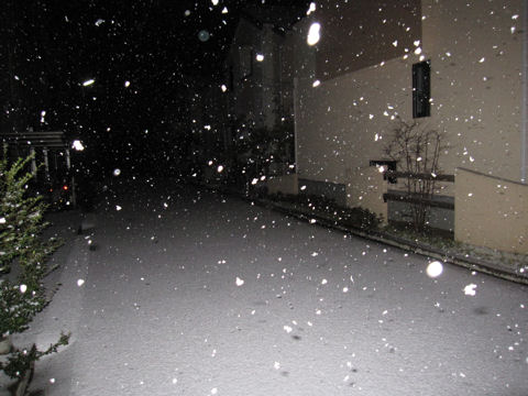 ファイル 88-1.jpg