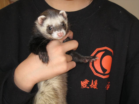 ファイル 99-1.jpg