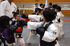 日本拳法道場 (Dojo of Nippon Kempo)