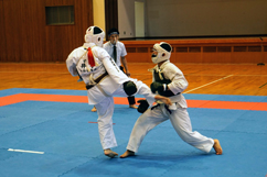 ���{���@���Q���I�茠���