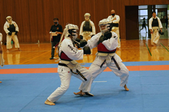 ��16����{���@���Q���I�茠���