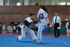 第11回日本拳法愛媛県選手権大会《団体戦・個人戦》