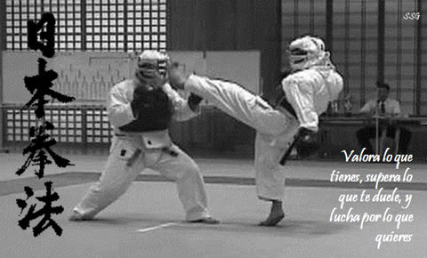 ���{���@ �������F��@Nippon Kempo Imabari kenyuukai