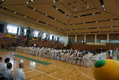 72񍑖̈@fXg[VX|[c{@